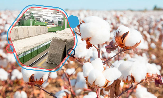 10 Use of Cotton That Not Everyone Knows